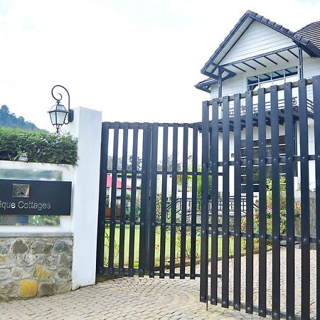 Unique Cottages Nuwara Eliya Luaran gambar